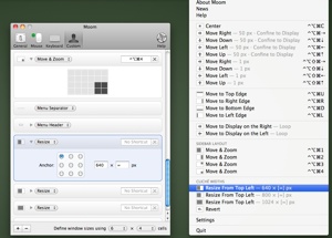 Many Tricks updates Mac OS X window moving, zooming utility