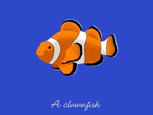 Sea Animals HD unleashed for the Mac, iOS devices