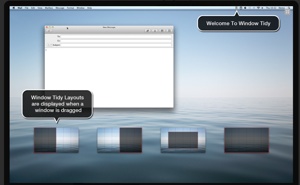 Kool Tools: Window Tidy For Mac OS X