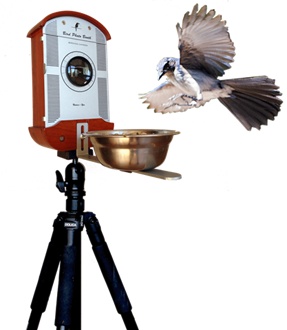 Bird feeder doubles as iPhone, GoPro photo booth