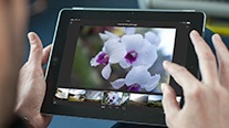 Adobe Lightroom Mobile brings photo tools to the iPad