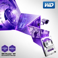 Kool Tools: WD Purple NV hard drives