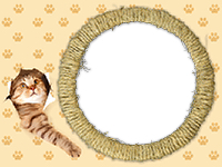AKVIS introduces Cats Pack photo frames