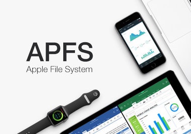 APFS logo.jpg