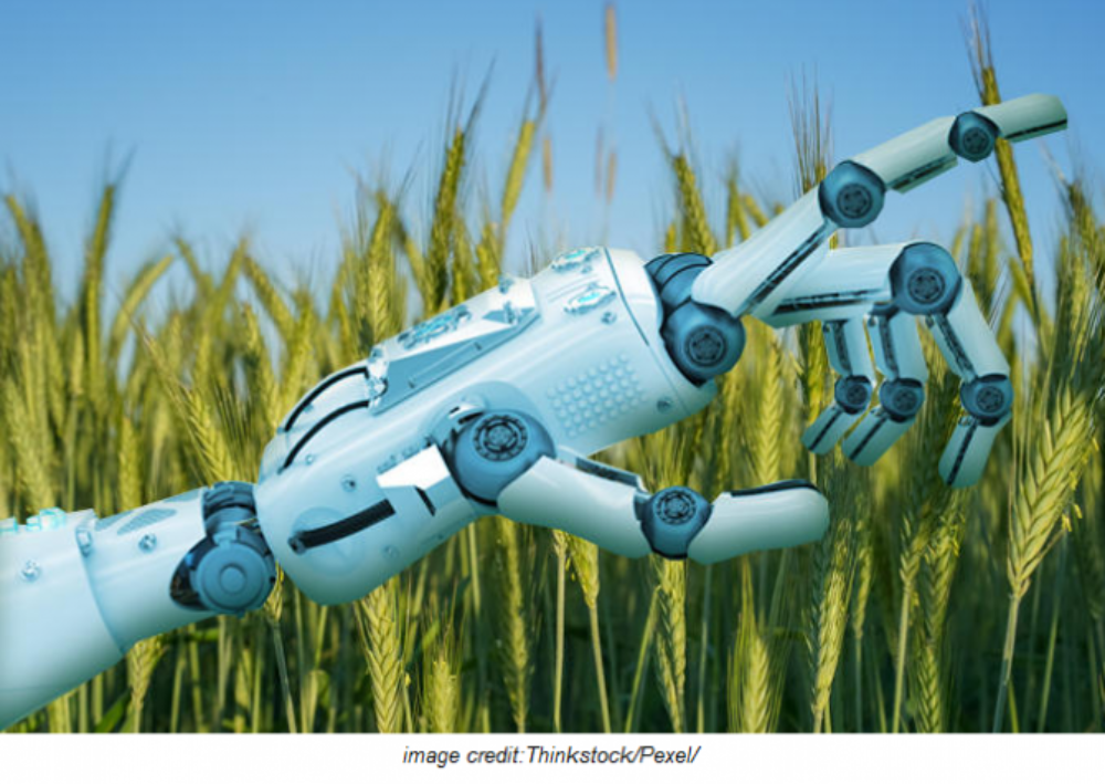 Global AI agriculture market to grow to $2.9 billion by 2025