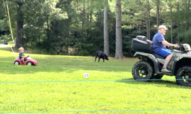 Review: VEED is a simple, free online video editor