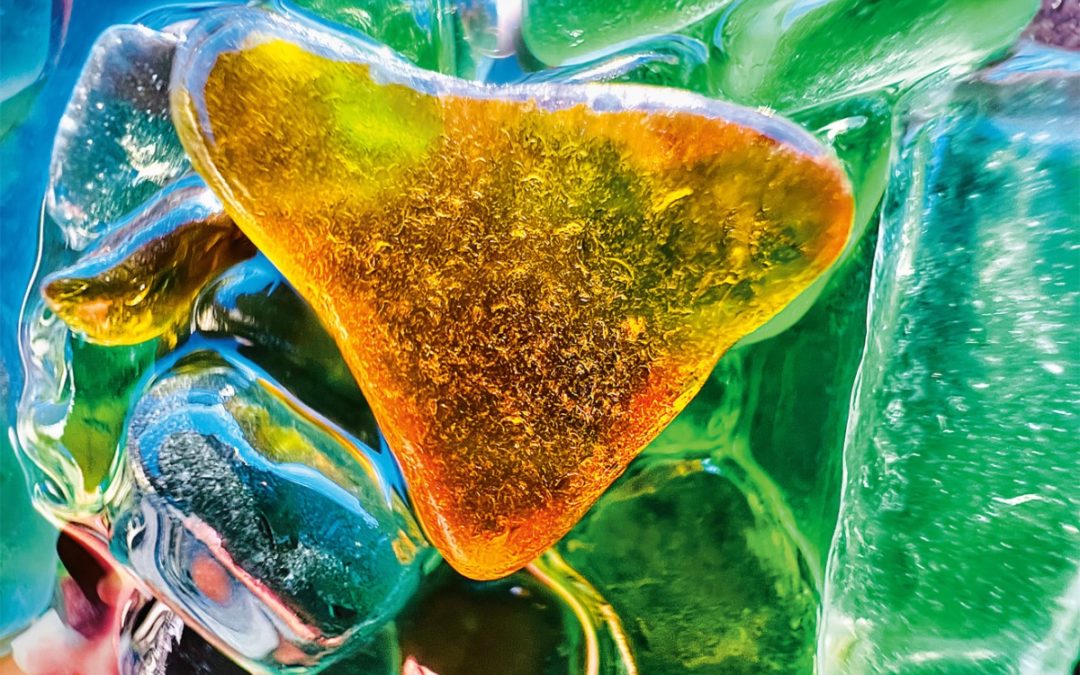 Apple unveils the best photos from the Shot on iPhone Macro Challenge