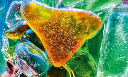 Apple unveils the best photos from the Shot on iPhone Macro Challenge