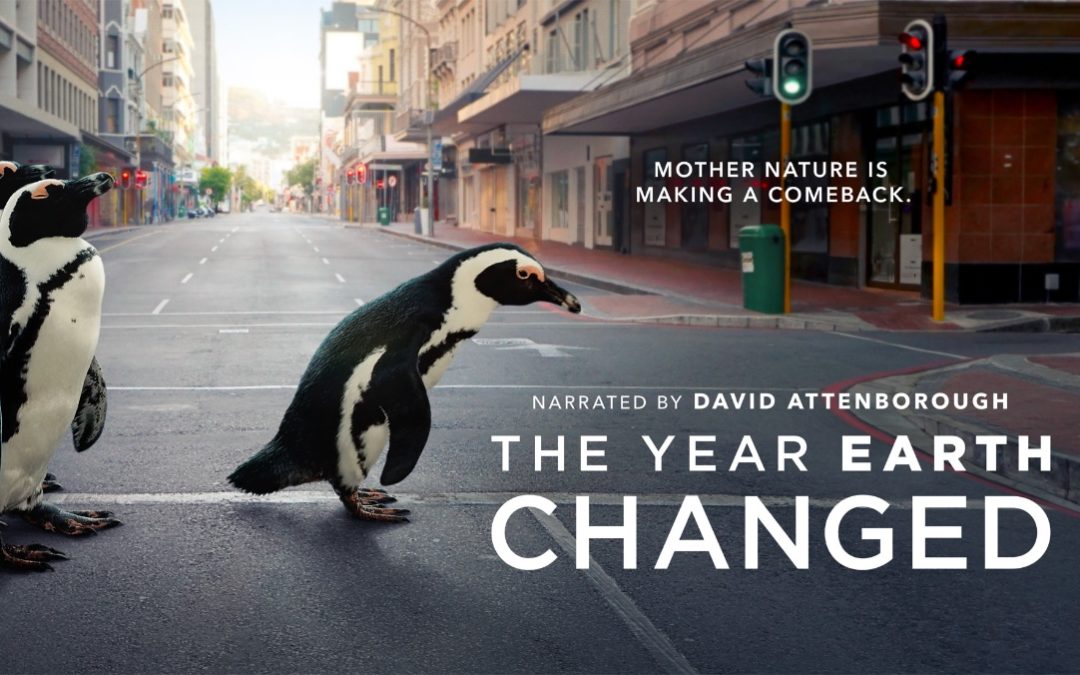 Apple TV+’s ‘The Year Earth Changed’ wins Television Academy Honors award