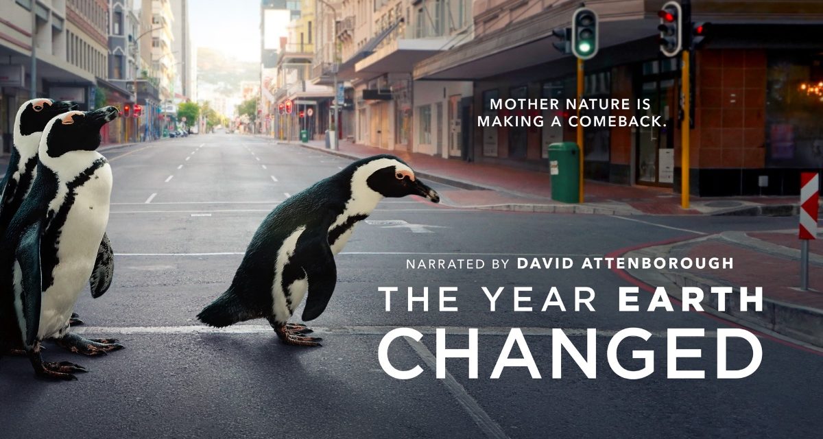Apple TV+’s ‘The Year Earth Changed’ wins Television Academy Honors award