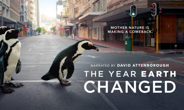 Apple TV+’s ‘The Year Earth Changed’ wins Television Academy Honors award