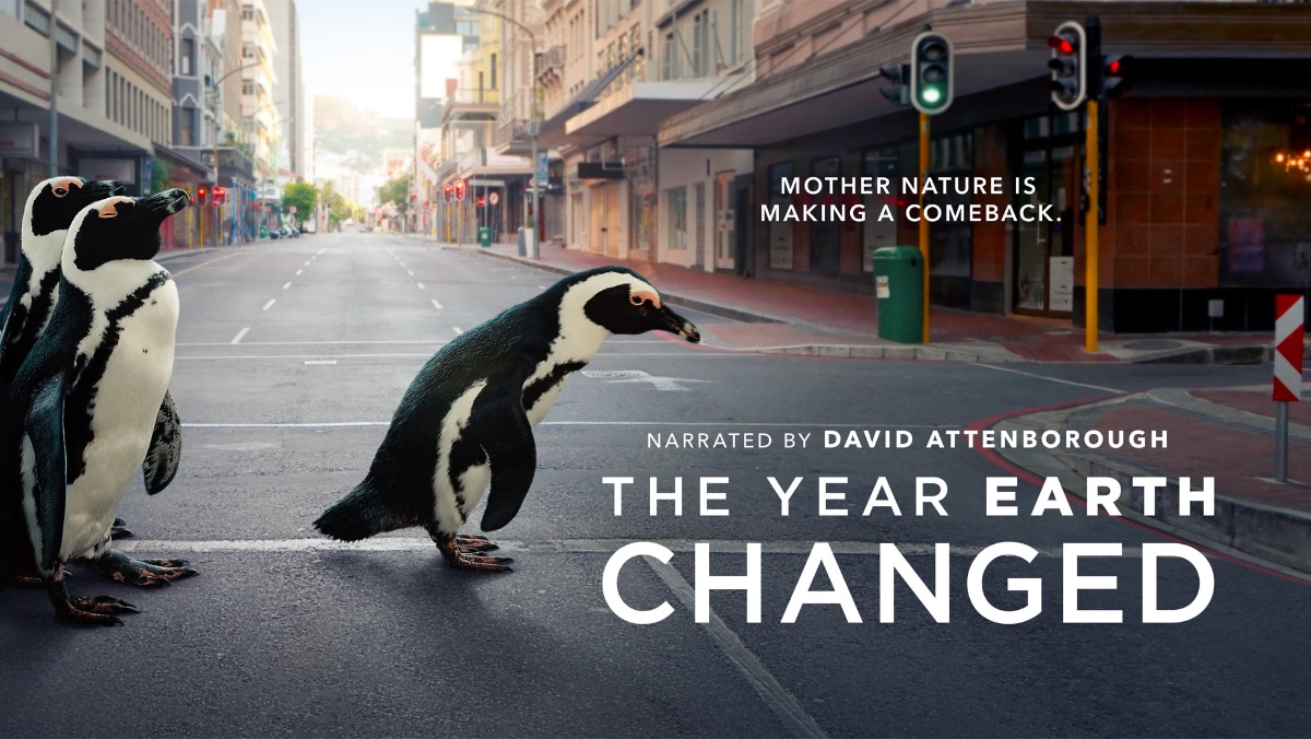 Apple TV+'s 'The Year Earth Changed' wins Television Academy Honors award - Vimarsana News