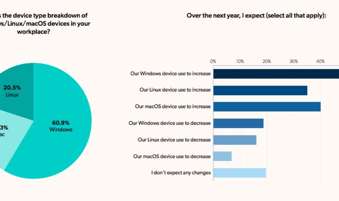  macOS device use in small and medium-sized businesses predicted to increase over the next 12 months 