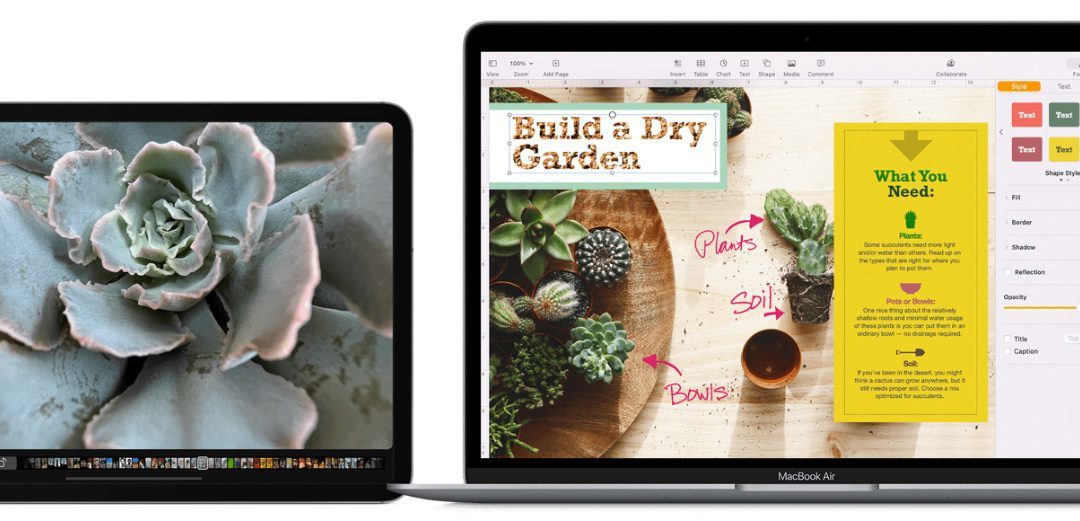 Counting iPads, Apple is the top global PC maker with 22.2% market share