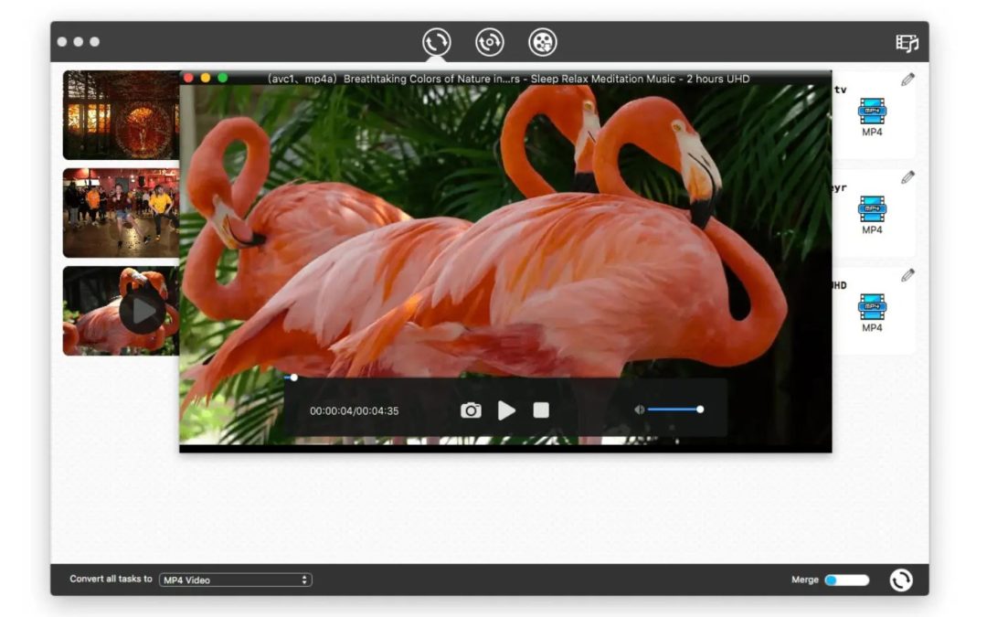 Cisdem updates Video Converter for Mac to version 7.7.0
