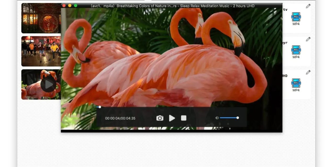 Cisdem updates Video Converter for Mac to version 7.7.0