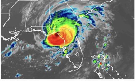 Apple retail stores close as Hurricane Idalia slams the Florida coast