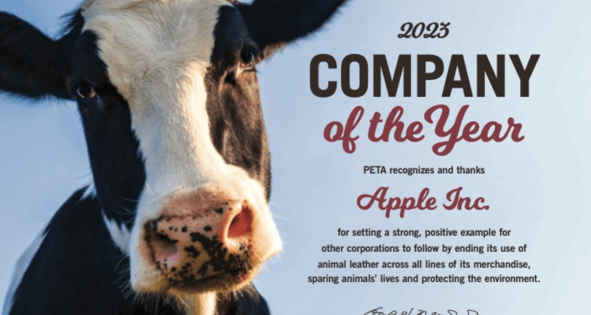 Apple named PETA’s company of the year after ditching leather