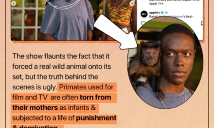 PETA Slams Apple TV+’s ‘Bad Monkey’ for ‘Animal Exploitation’
