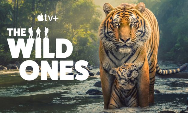 ‘The Wild Ones’ documentary now streaming on Apple TV+