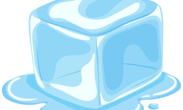 Portland Pioneer Place store protesters protest removal of ICEBlock from the Apple App Store