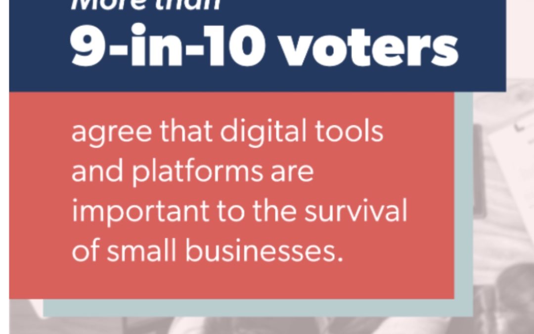 Here’s How U.S. Voters View Digital Tools, Innovation, and the Risks of Regulation