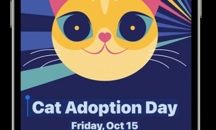 How to copy text from Photos in iPadOS 26