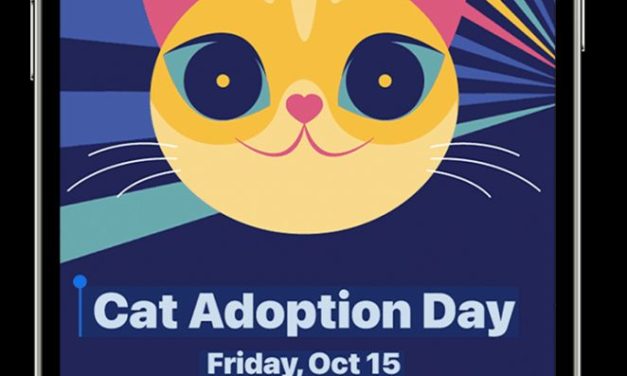 How to copy text from Photos in iPadOS 26