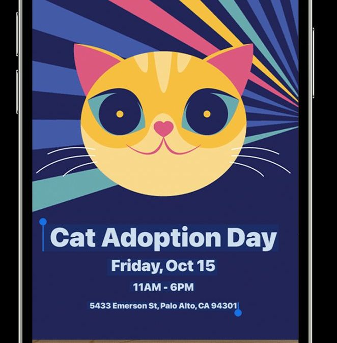 How to copy text from Photos in iPadOS 26