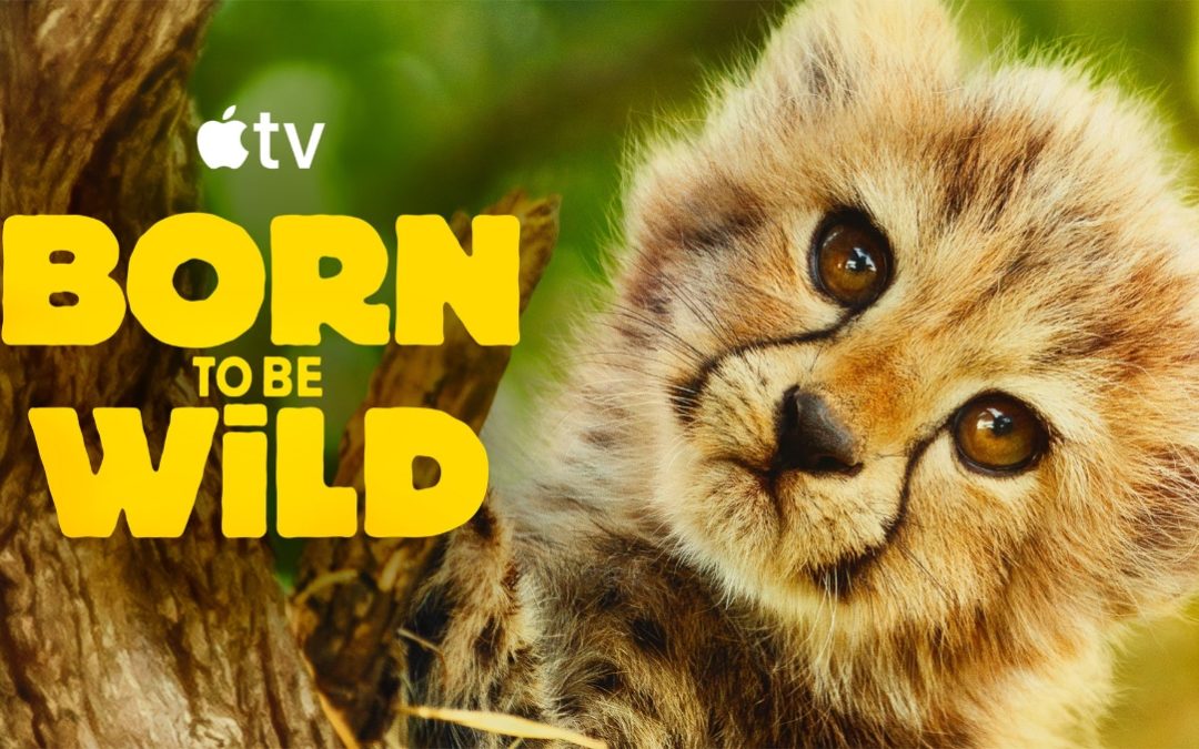 Apple TV debuts the trailer for ‘Born to Be Wild’