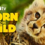 Apple TV debuts the trailer for ‘Born to Be Wild’