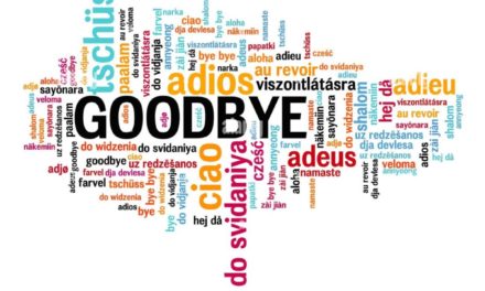 Apple loses one of its iPhone Air designers and one of its Safari designers