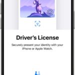 Residents in seven more states will soon be able to add their driver’s license to the Apple Wallet app