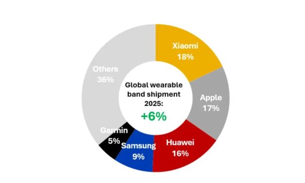 Apple had 17% of the global wearable device market in 2025