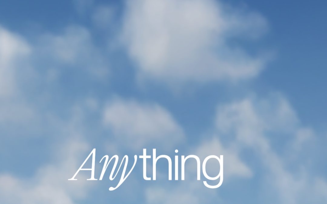 Apple kicks the vice coding app Anything from the App Store