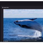 How Still Images Quietly Become Dynamic Narratives Today