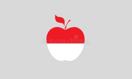 Slight rise in Indonesia iPhone sales boost the premium smartphone segment